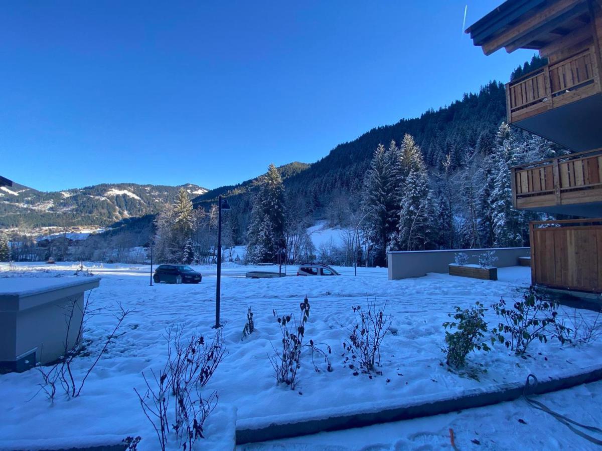 Lumineux Et Spacieux Appartement Contemporain Dans Une Residence Recente Et Paisible A Chatel - Fr-1-693-48 Eksteriør bilde